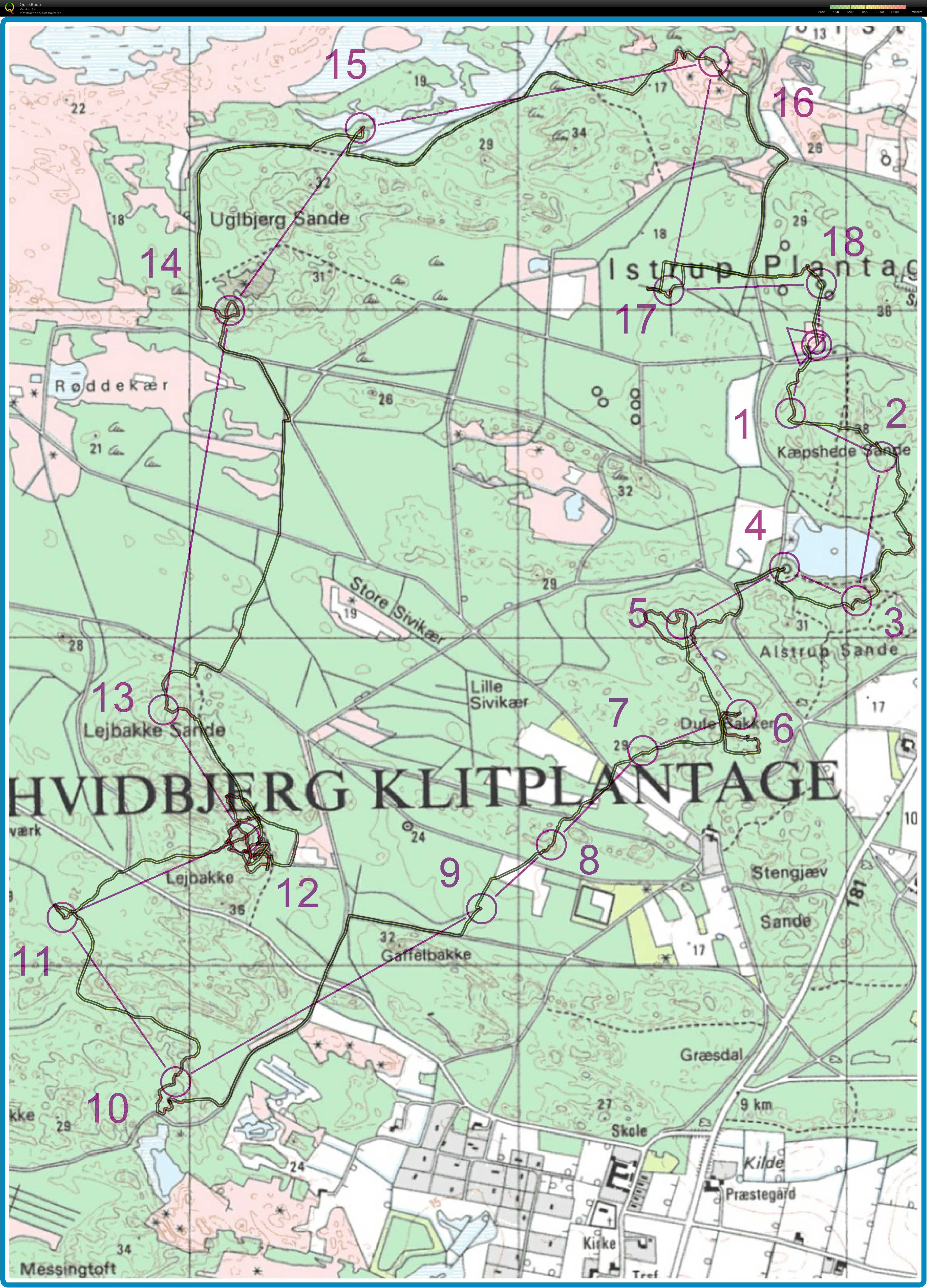 Vinterlangdistance Hvidbjerg Klitplantage (08-12-2019)
