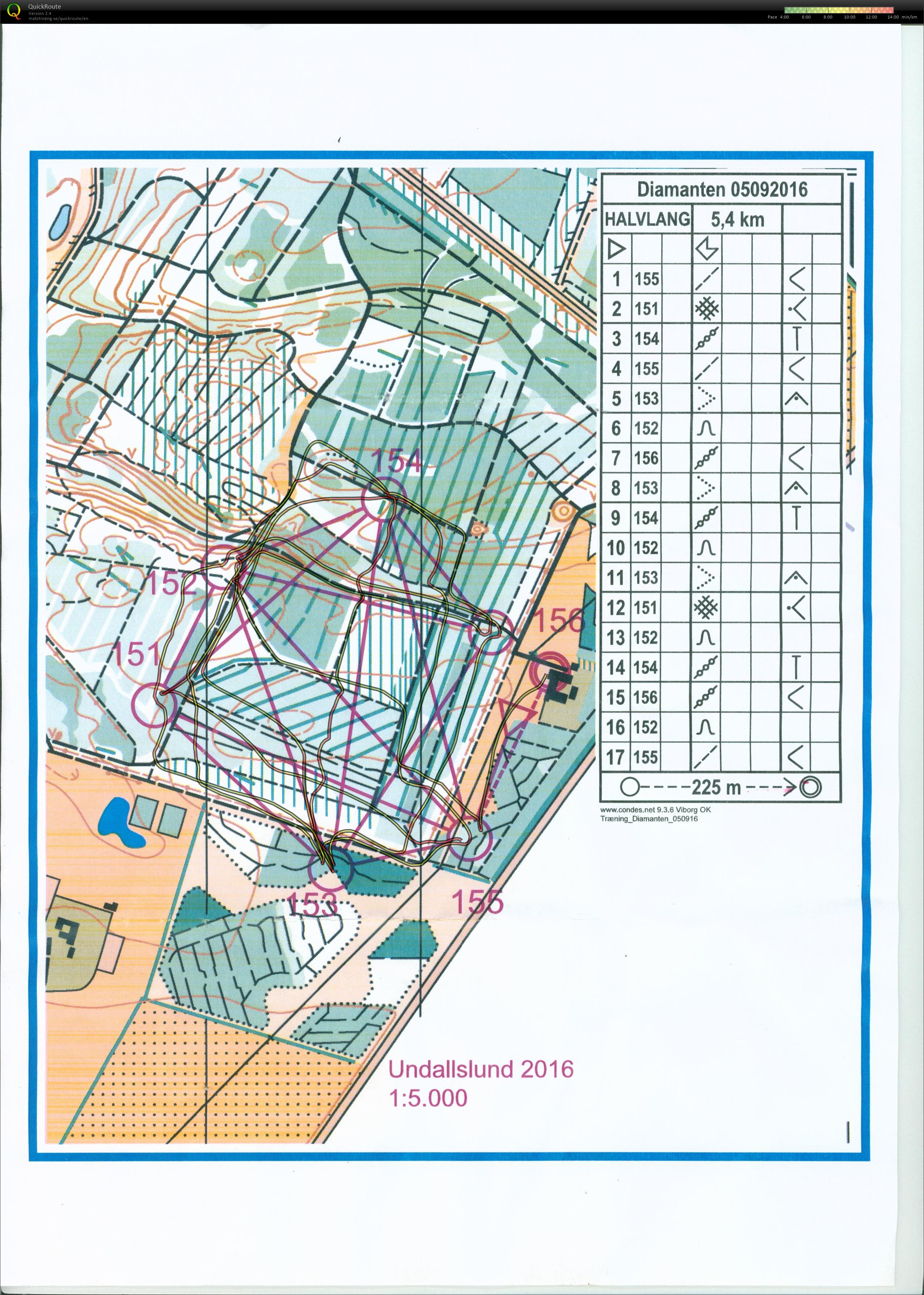 Undallslund, Diamanten, 5,4 km, Pia Gade, 050816 (05.09.2016)