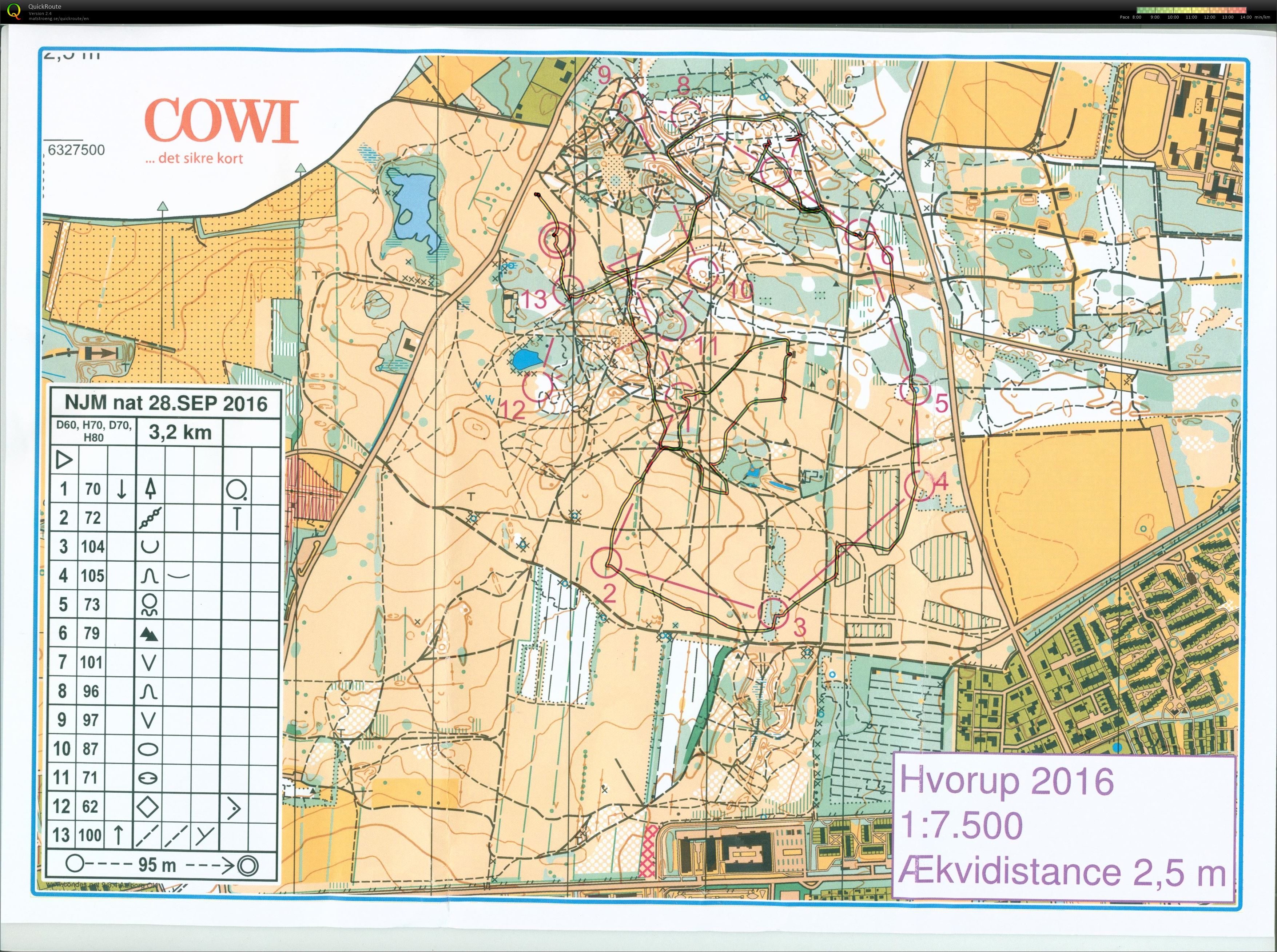 Hvorup NJM nat 2, Bane D60, Pia Gade, 280916 (28.09.2016)