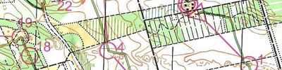 Natløb Søttrup Plantage H40