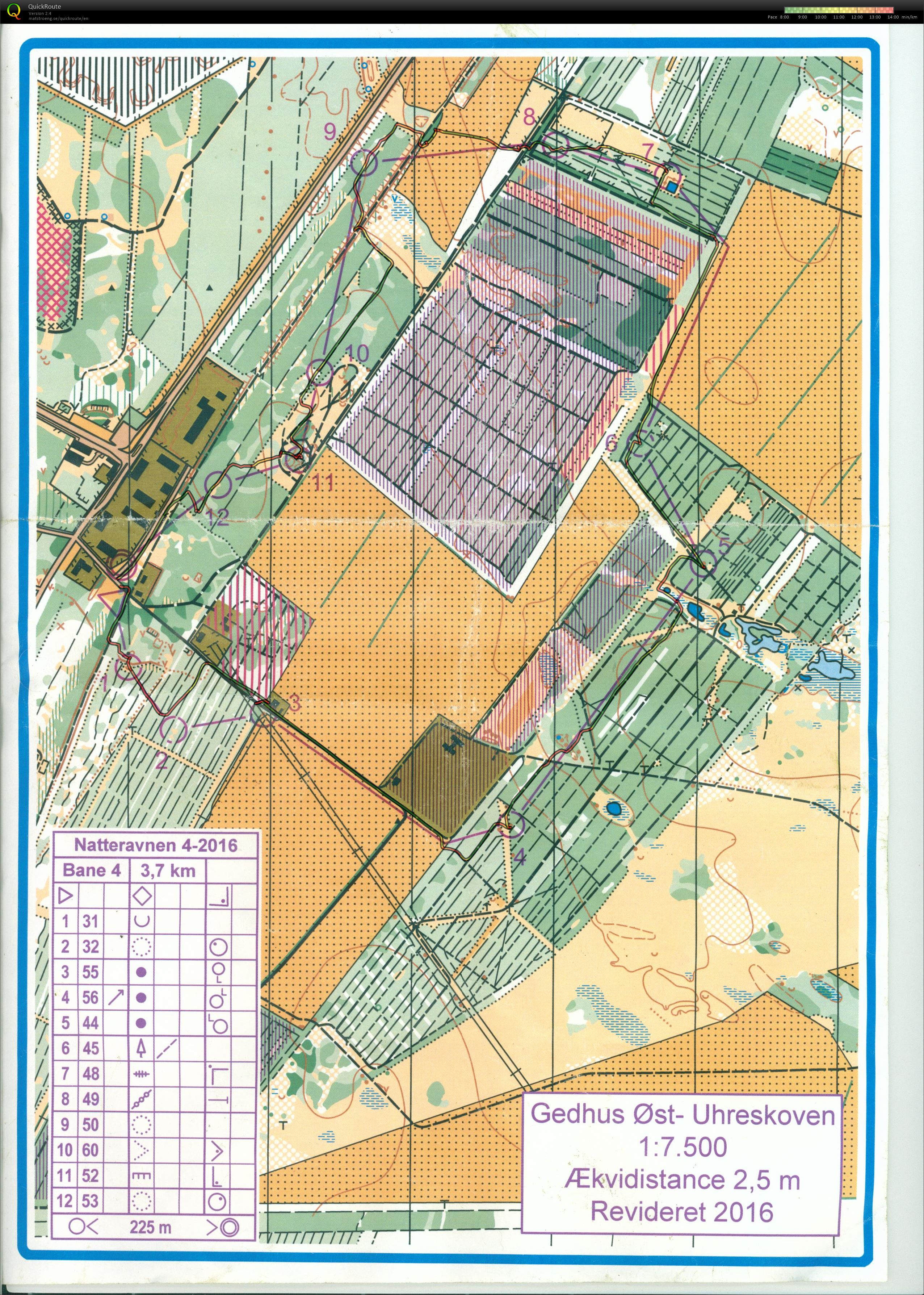 Gedhus Uhreskoven, Natteravn 4, Bane 4, Pia Gade, 021116 (02.11.2016)