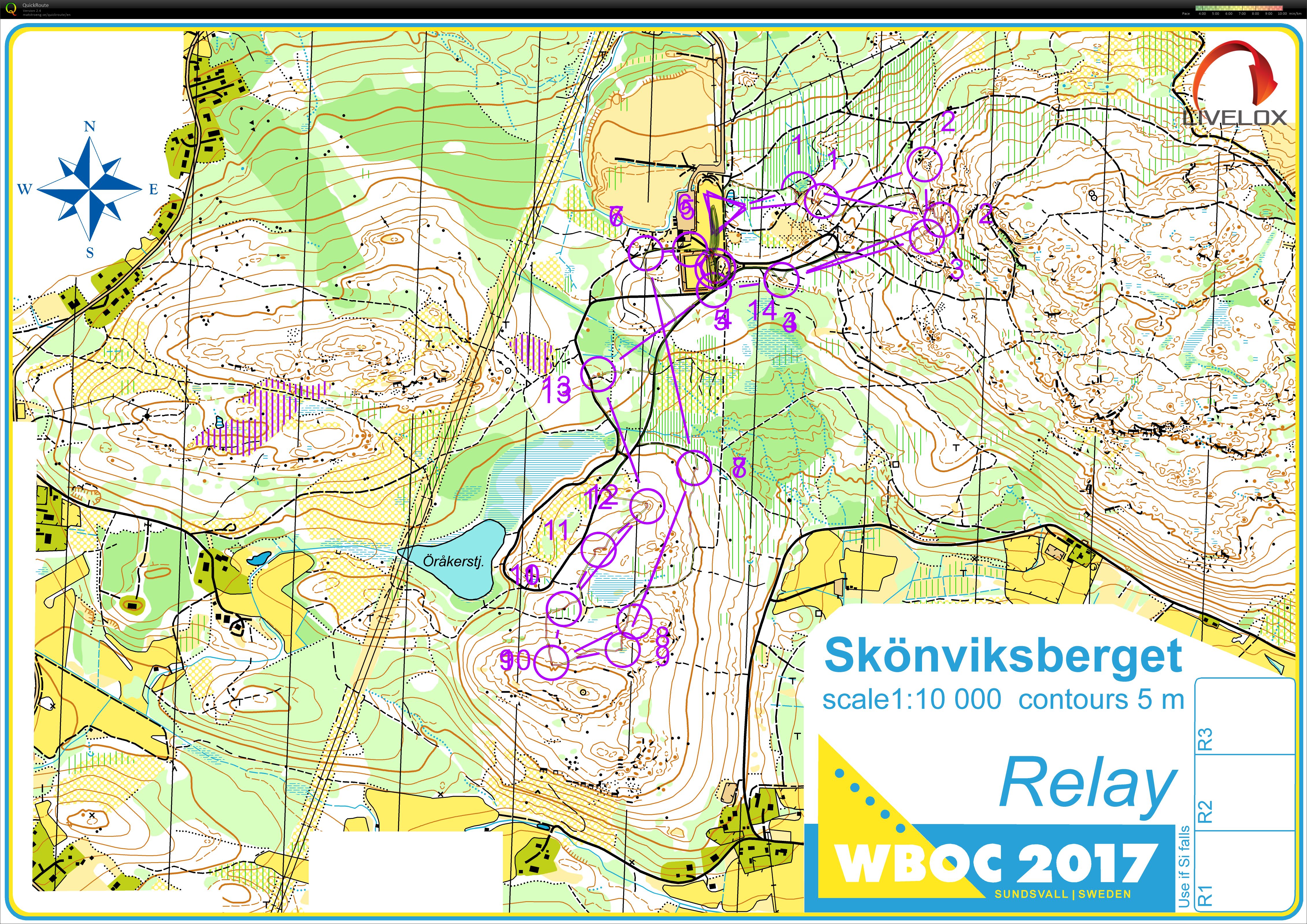 VM Biathlon Stafet (20/08/2017)