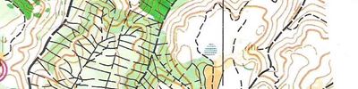 Mellemdistance Rold Vælderskov bane 2 - del II