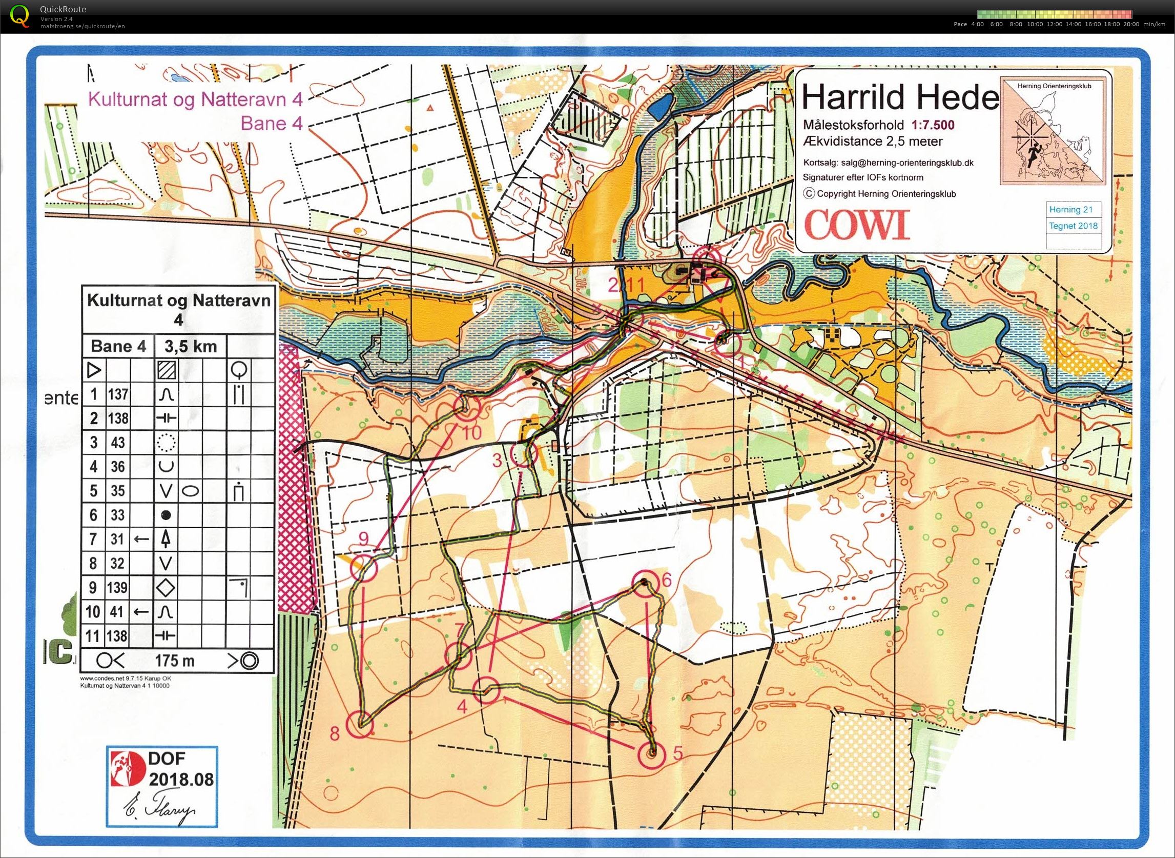 Harrild Hede, Natteravn 4, Bane 4, Pia Gade, 280918 (28.09.2018)