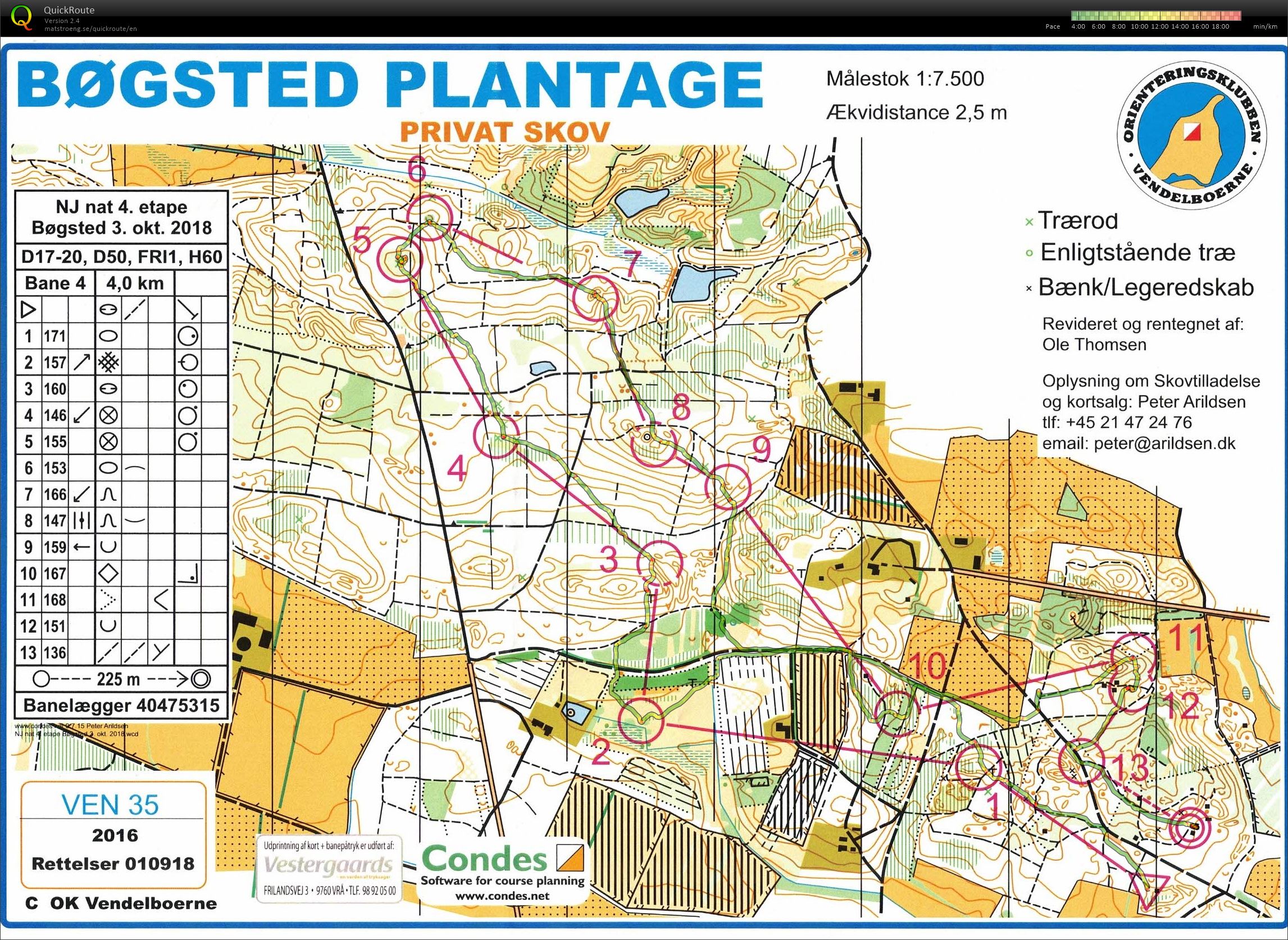 Bøgsted Plantage NJ-nat-4 H60 (03.10.2018)