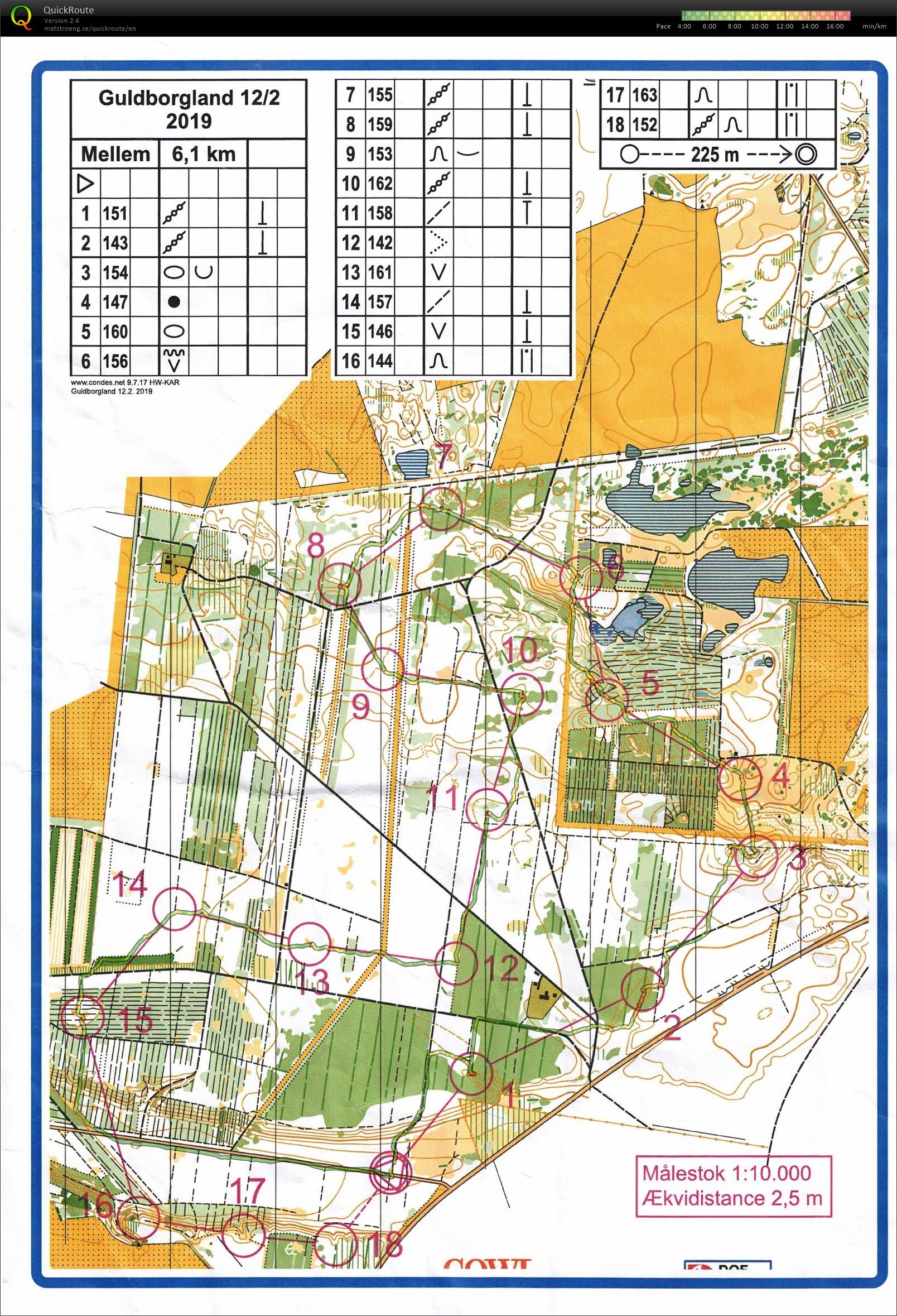 Guldborgland 6 km (12.02.2019)