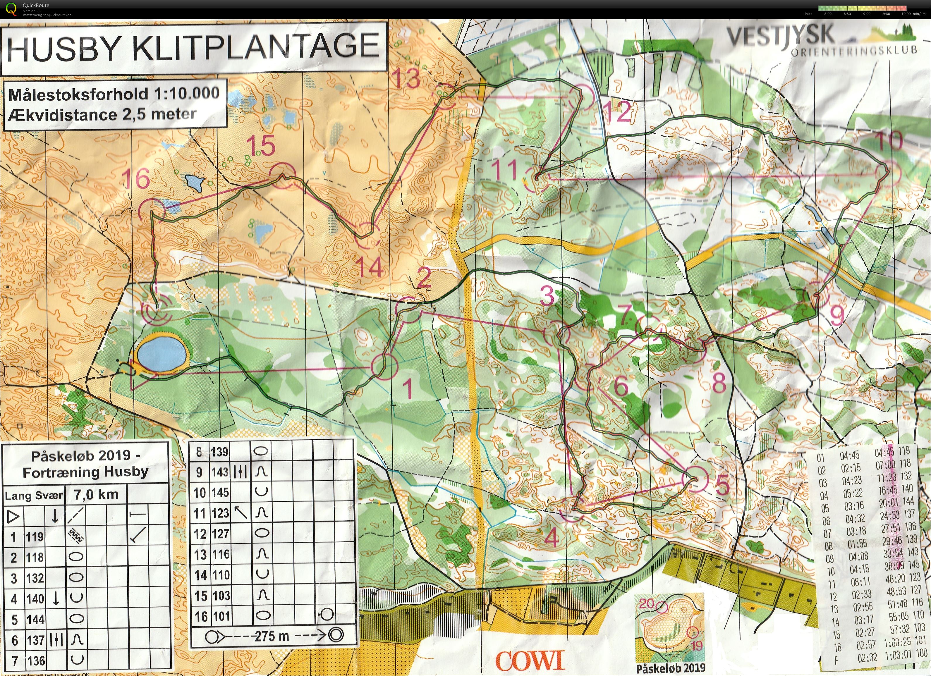 Husby Klitplantage Lang Svær (2019-04-16)