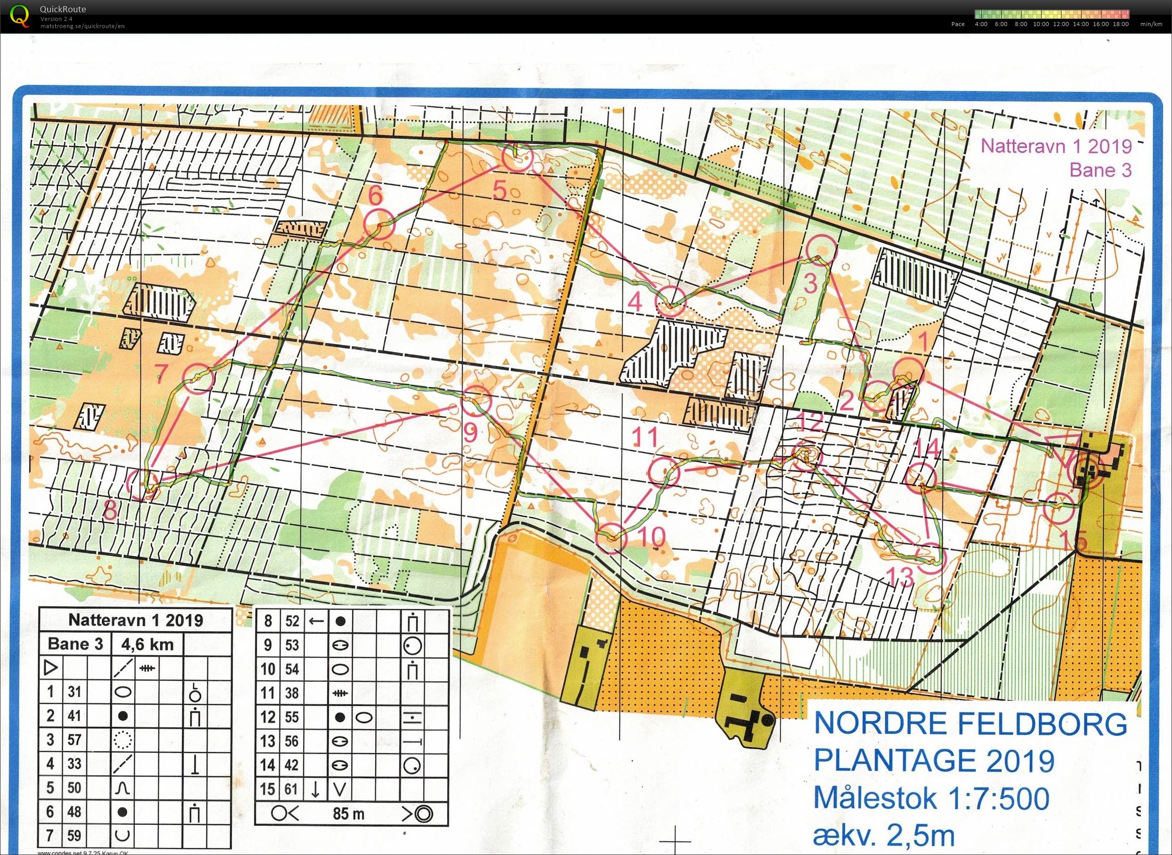 Natteravn 1, Nordre Feldborg Plantage, Bane 3 (09/10/2019)