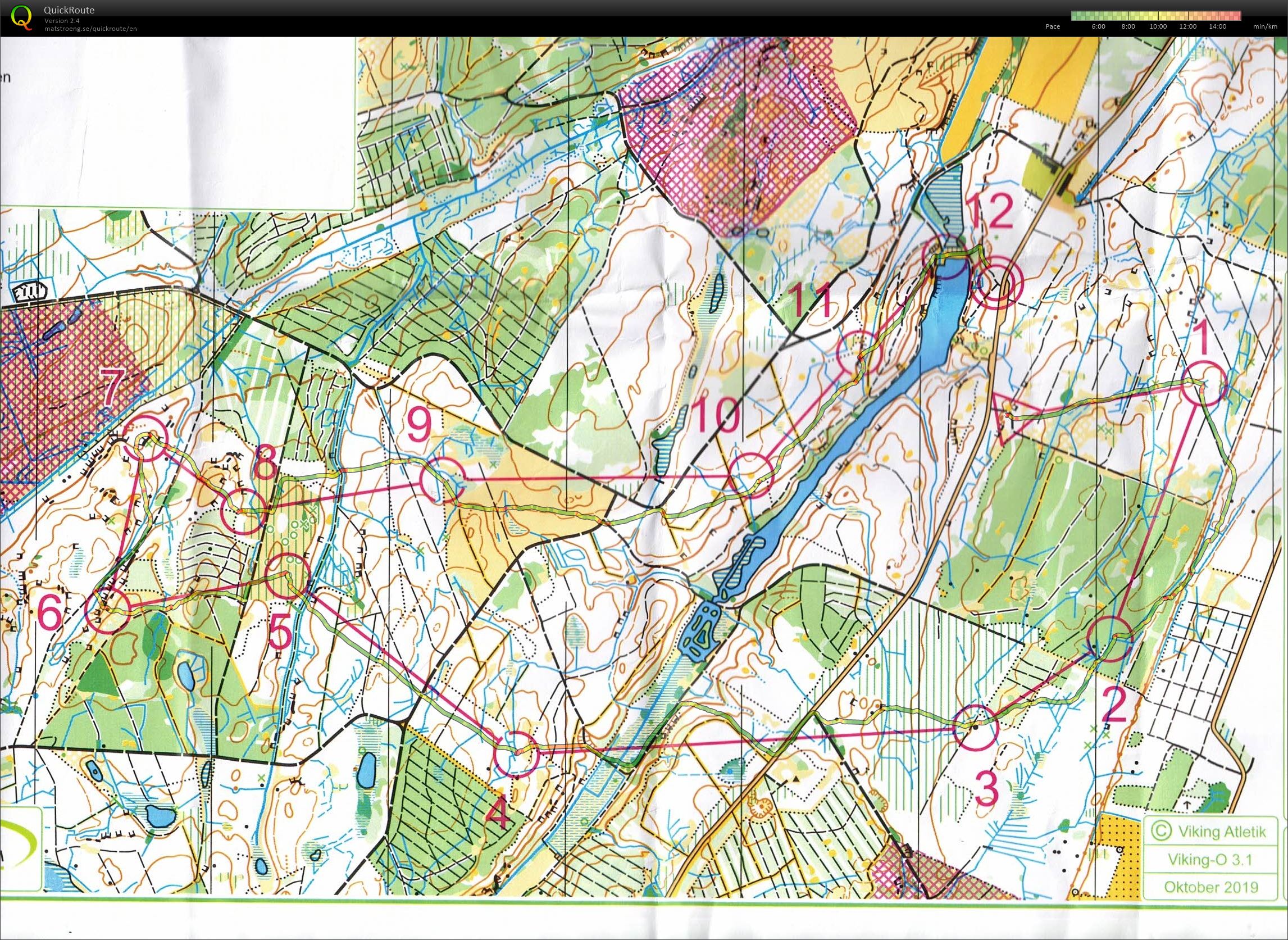 Høst open, Rø plantage, H65 (26-10-2019)