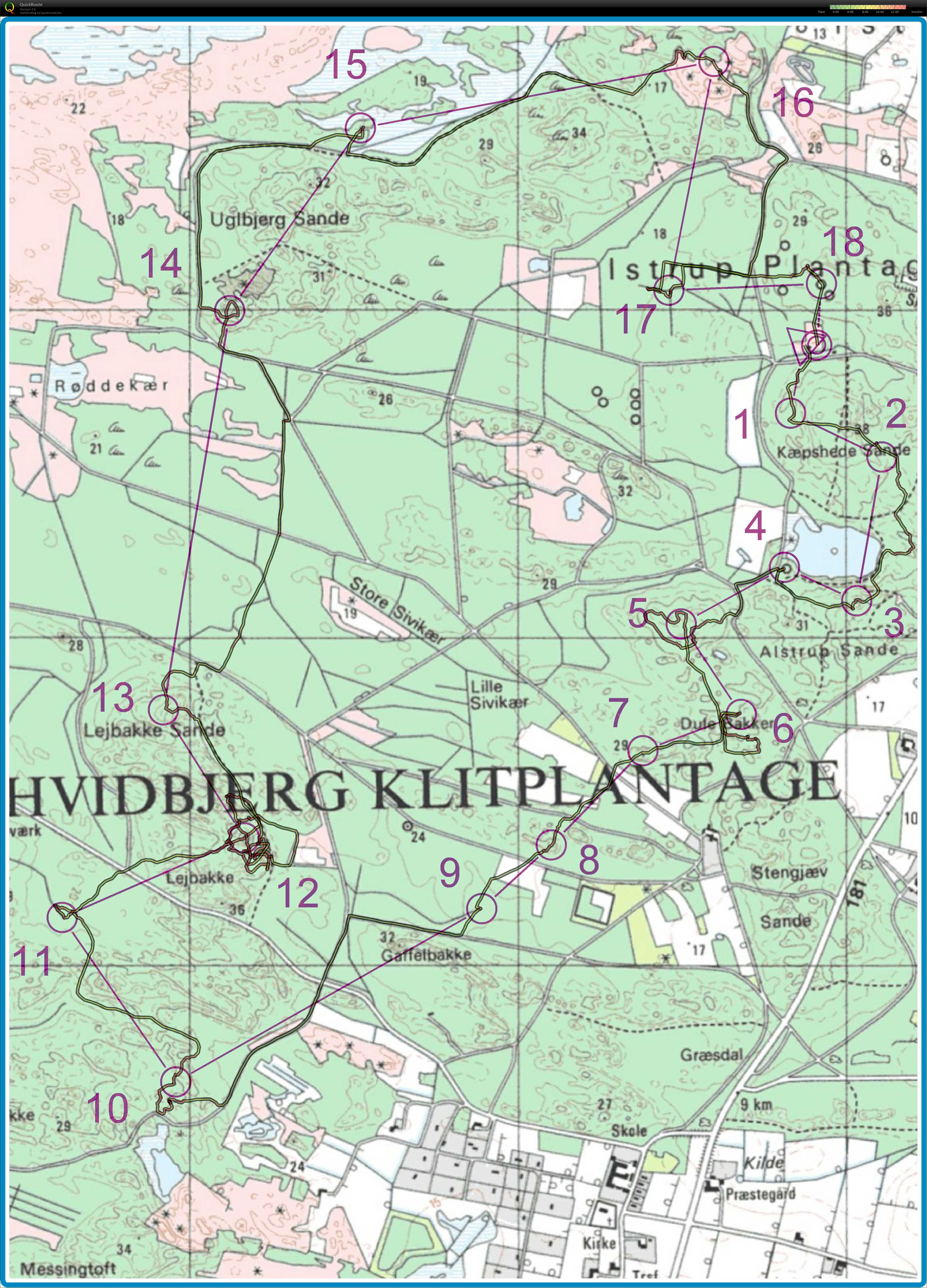 Vinterlangdistance Hvidbjerg Klitplantage (2019-12-08)