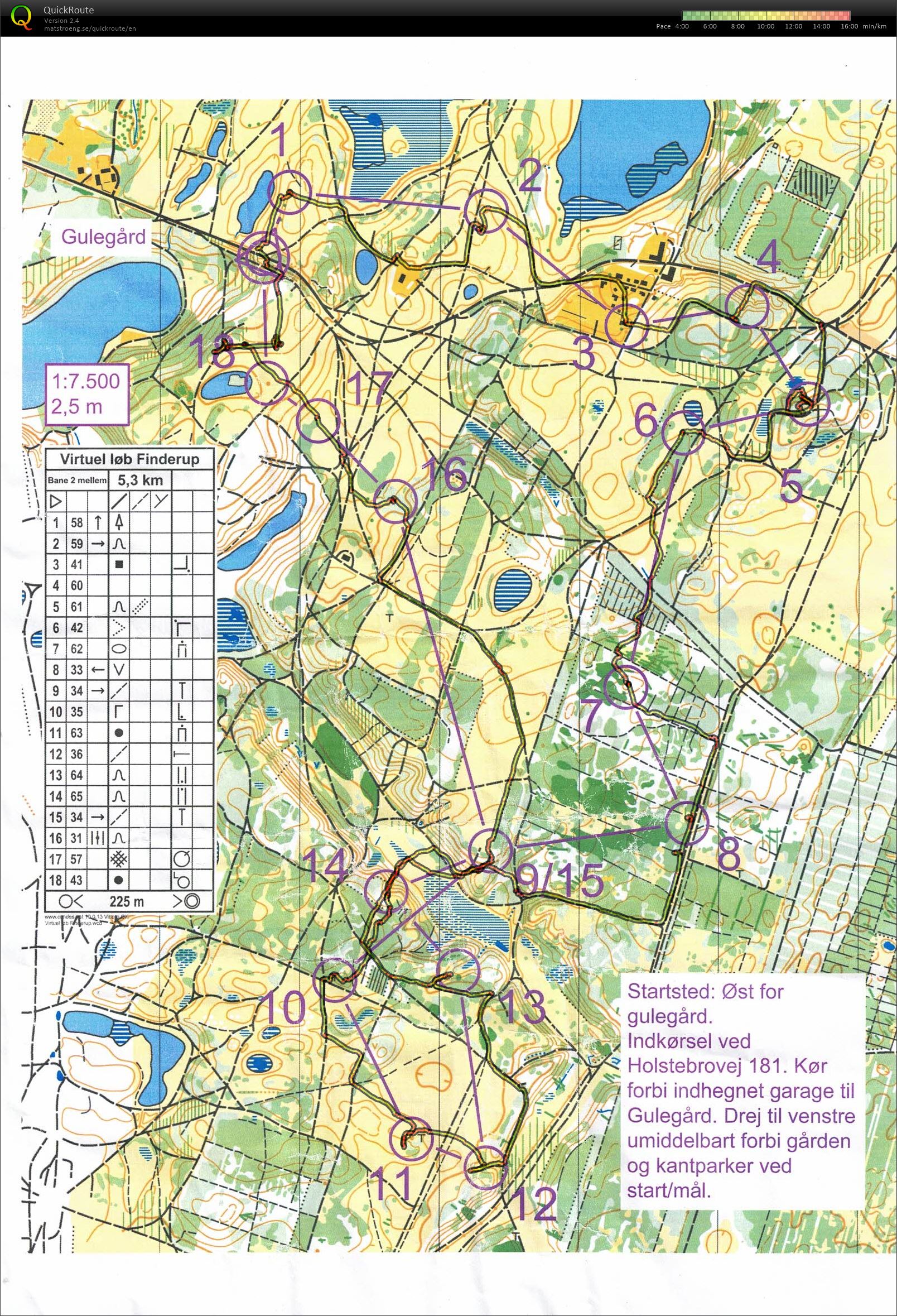 Finderup Gulegård, selvtræning, Bane 2, Pia Gade, 120420 (2020-04-12)