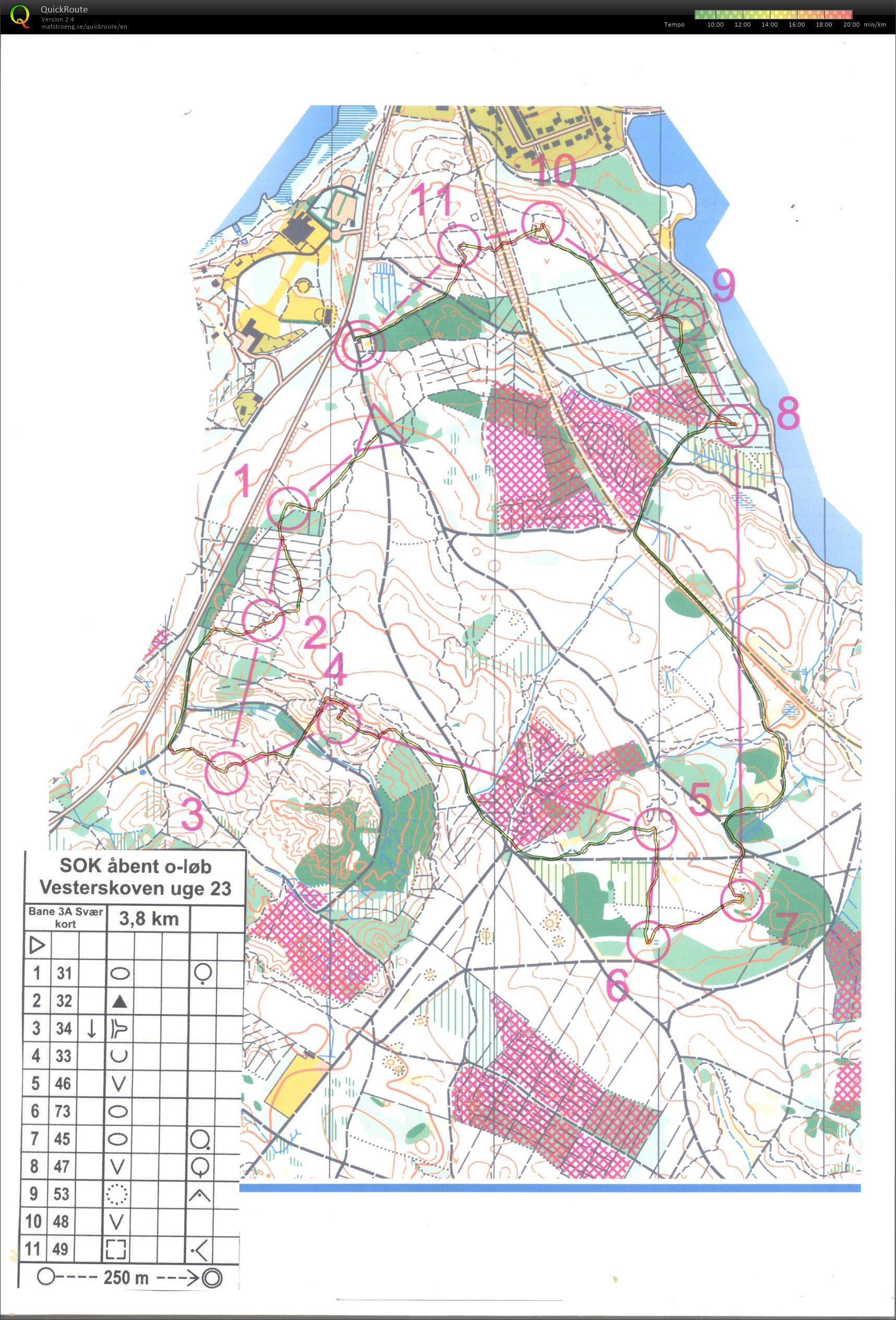 Silkeborg Vesterskov (2020-06-05)