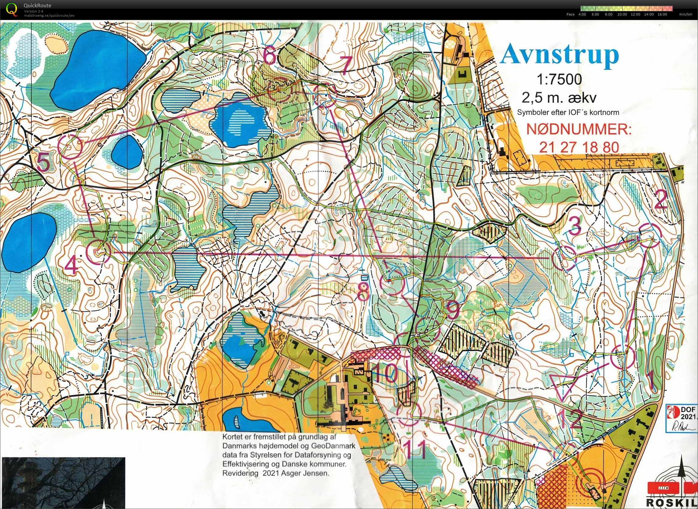 Avnstrup, DM Nat, H65 (13-11-2021)