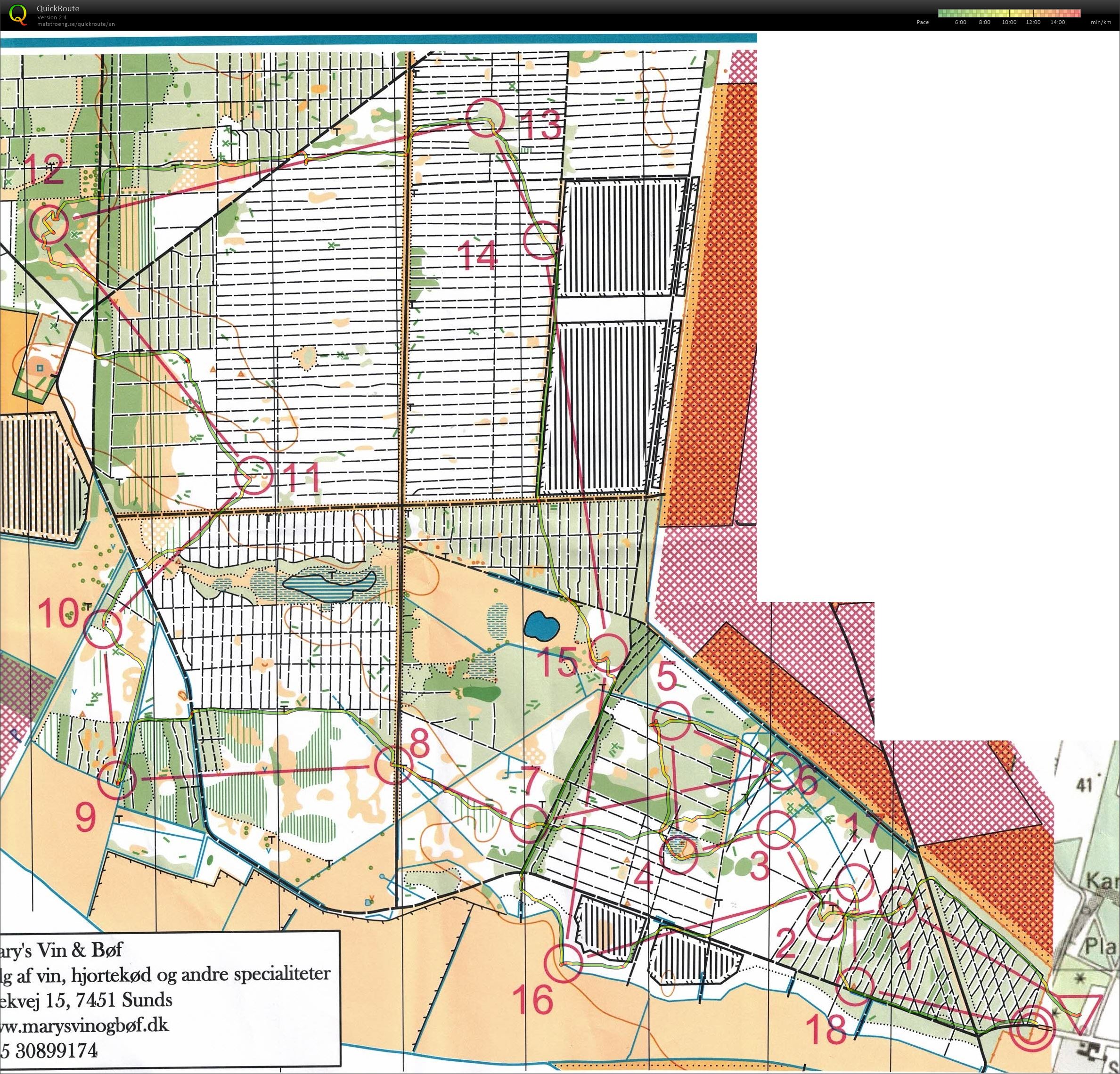 Feldborg Sønderskov 8 km (02.01.2022)