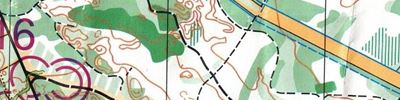 Husby klitplantage 5 km (18.06.2022)